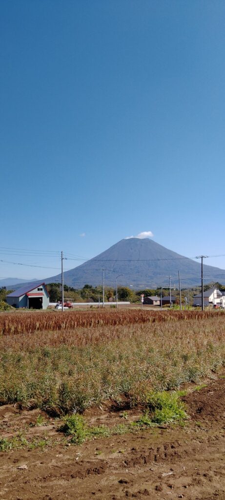 【冬だけじゃない!】北海道 ニセコ町を大紹介!!　噂の物価はどうなのか?